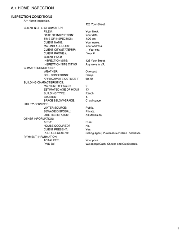 Example Report 1