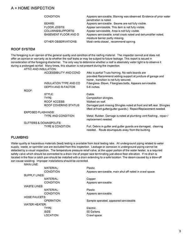 Example Report 3